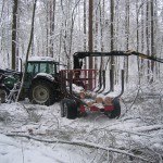 Aufarbeitung Windwurf Lrche